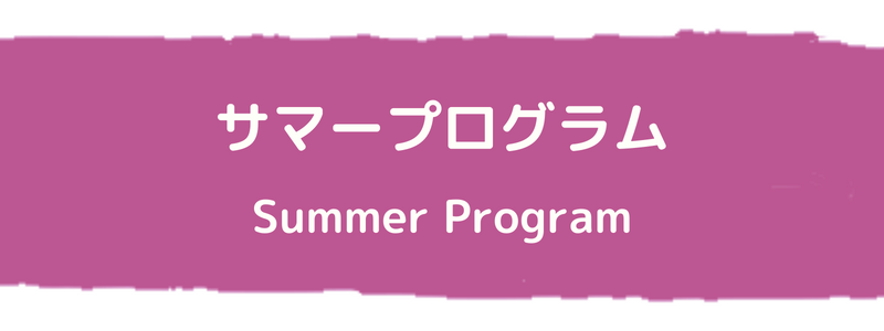 サマープログラム (Summer Program)
