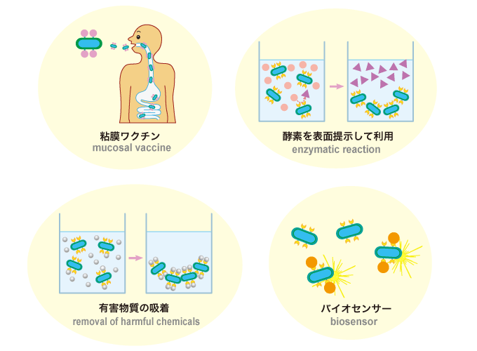 期待できる応用例