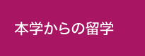 本学からの留学