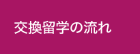 交換留学の流れ