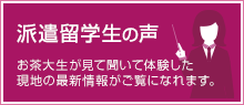 派遣留学生の声