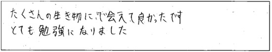 感想04 感想04