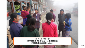 photo6