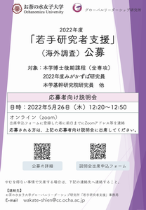 2022年度「若手研究者支援」