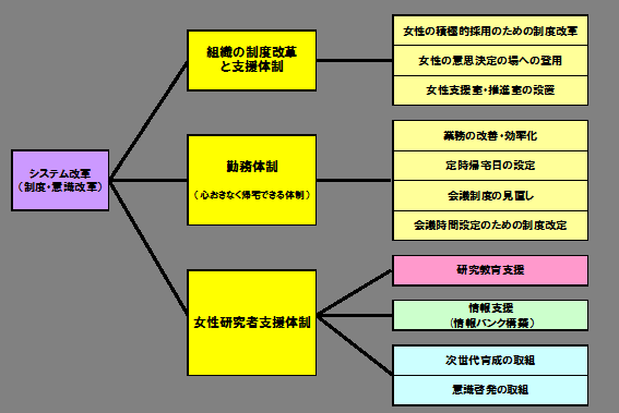 システム改革の内容