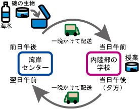 磯の動物の出張概念図