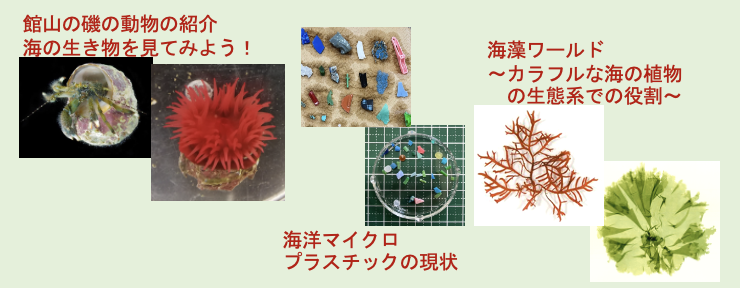 海辺のワークショップ