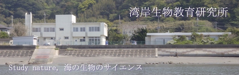 スライダー画像1c