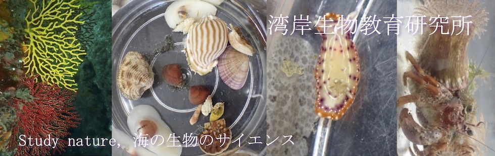 スライダー画像4c