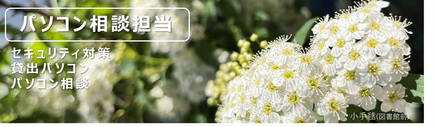 5月小手毬