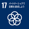 SDGsGoal17