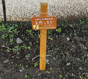 pocket_garden_library1