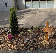 pocket_garden_christmas