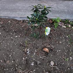 pocket_garden_pic2