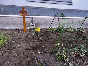 pocket_garden_pic5