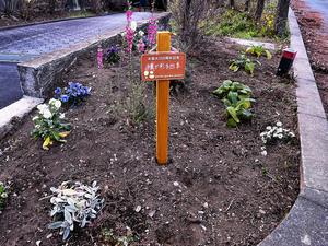 pocket_garden_pic7