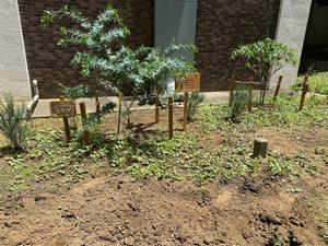 pocket_garden20260617a