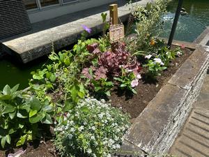 pocket_garden_20260617b