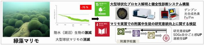 R6研究助成_嶌田先生_図1