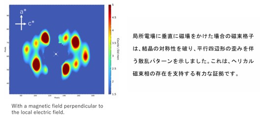 R6研究助成_古川先生_図1