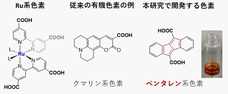 R5研究助成_桑原先生_図1