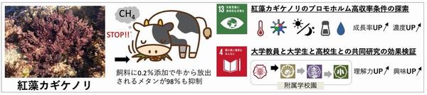 R5研究助成_嶌田先生_図1