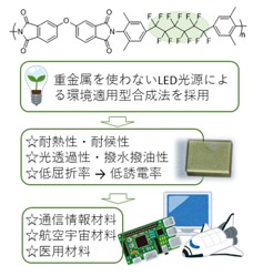 R4研究助成_矢島先生_図1