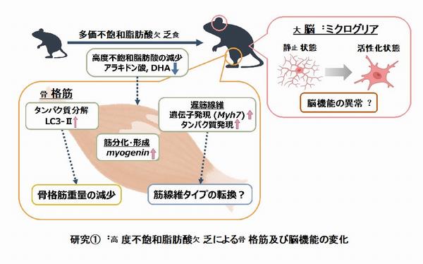 R4研究助成_市先生_図1